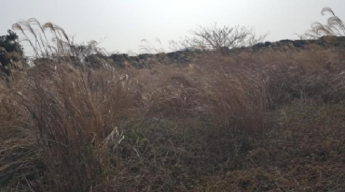 제주 서귀포시 성산읍 임야 경매 물건 사진