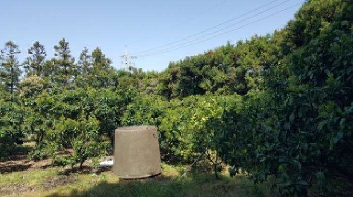제주 서귀포시 성산읍 전답 경매 물건 사진