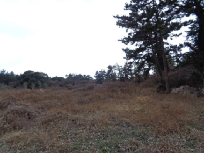제주 제주시 한림읍 전 경매 물건 사진 6 · 2026타경11