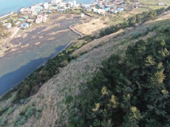 제주 제주시 한림읍 임야 경매 물건 사진 2 · 2026타경144