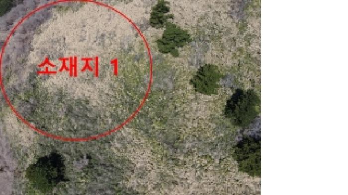 제주 제주시 한림읍 임야 경매 물건 사진 2 · 2026타경145