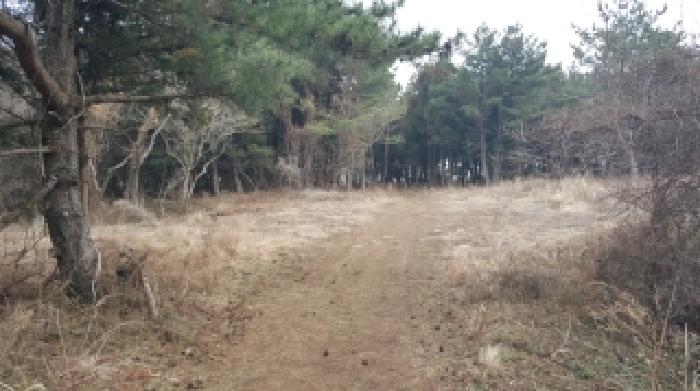 제주 제주시 조천읍 임야 경매 물건 사진