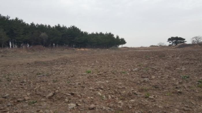 제주 제주시 조천읍 임야 경매 물건 사진 6 · 2026타경163