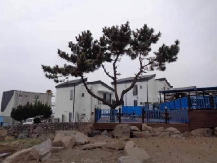 제주 제주시 애월읍 상가,오피스텔,근린시설 경매 물건 사진 3 · 2026타경172
