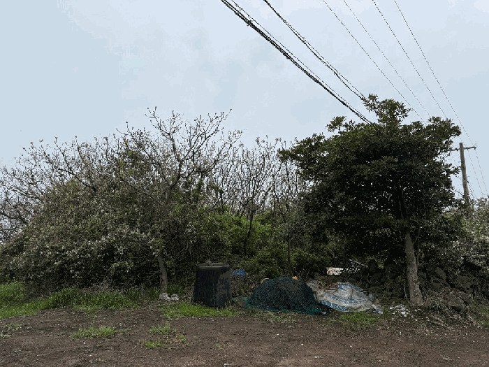 제주 서귀포시 대정읍 대지 경매 물건 사진 5 · 2026타경261