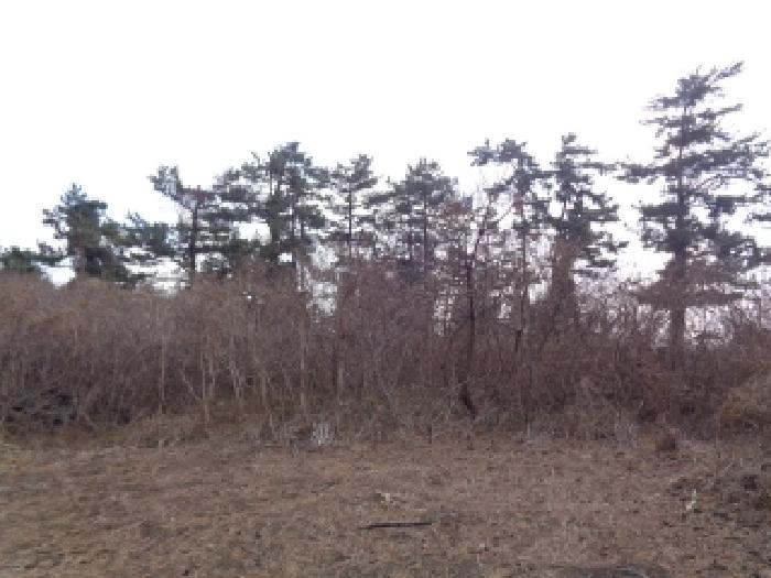제주 제주시 한림읍 임야 경매 물건 사진 4 · 2026타경76