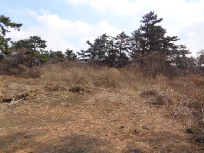 제주 제주시 한림읍 임야 경매 물건 사진 3 · 2026타경76