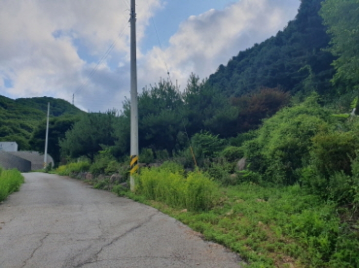 경기 가평군 설악면 도로 경매 물건 사진
