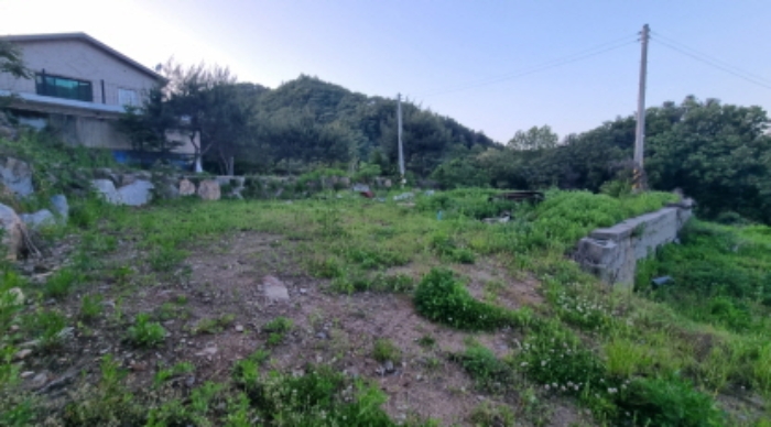 경기 가평군 청평면 과수원 경매 물건 사진 2 · 2024타경75574