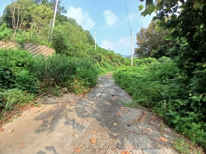 경기도 가평군 청평면 대성리 산59-10 임야 경매 물건 사진
