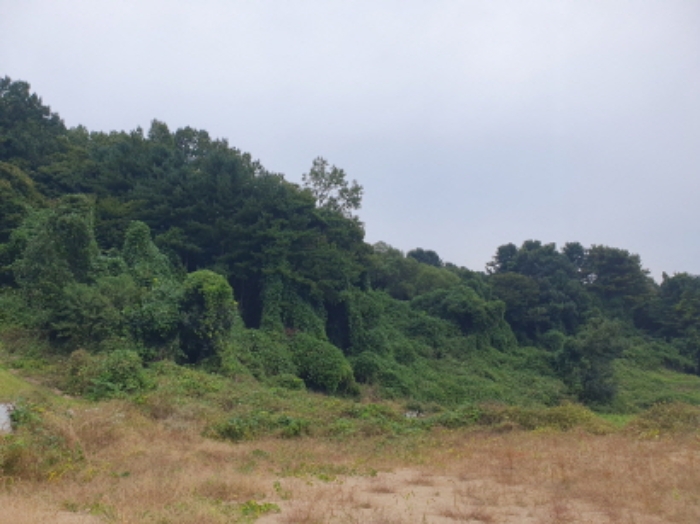 경기 가평군 상면 임야 경매 물건 사진 4 · 2024타경83148