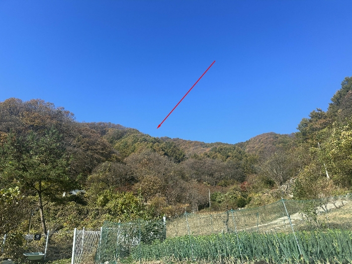 경기도 가평군 가평읍 산유리 산198-8 임야 경매 물건 사진