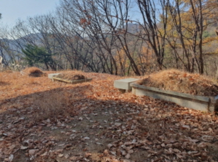 경기 남양주시 호평동 임야 경매 물건 사진 6 · 2024타경85663