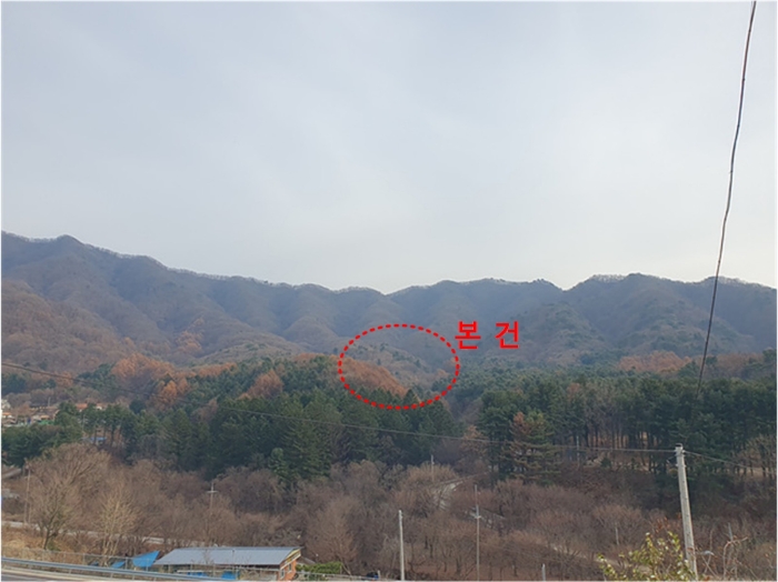 경기 남양주시 오남읍 임야 경매 물건 사진 6 · 2024타경86451