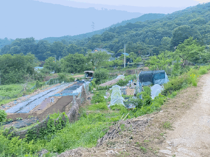 경기 남양주시 별내면 전 경매 물건 사진 4 · 2025타경1693