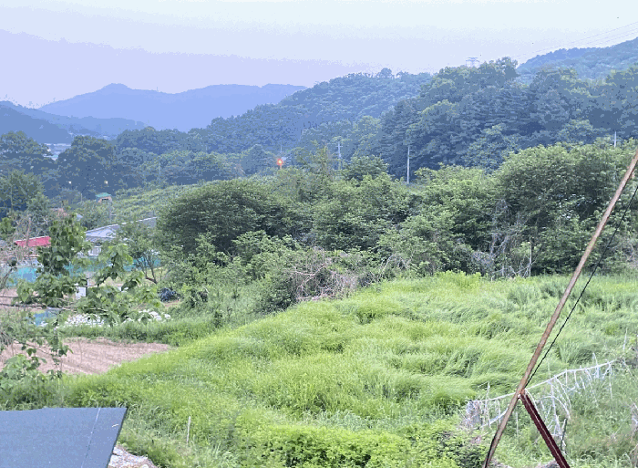 경기 남양주시 별내면 전 경매 물건 사진 6 · 2025타경1693