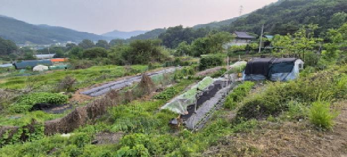 경기 남양주시 별내면 전 경매 물건 사진 2 · 2025타경1693