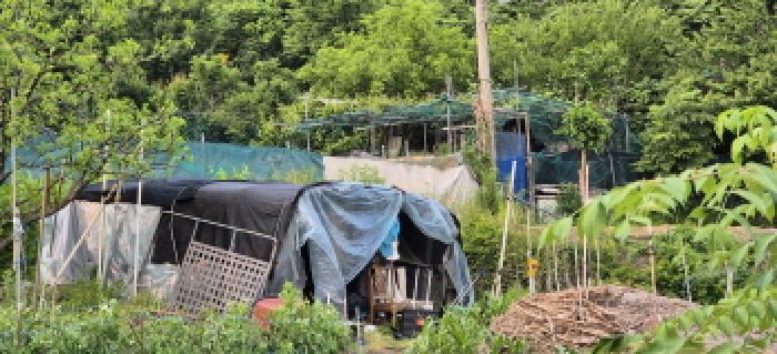 경기 남양주시 별내면 전 경매 물건 사진 3 · 2025타경1693