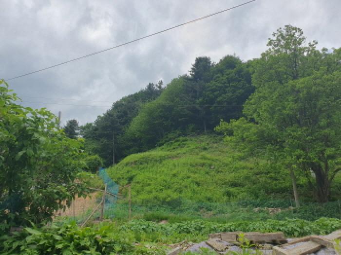 경기 가평군 설악면 임야 경매 물건 사진 6 · 2025타경1730