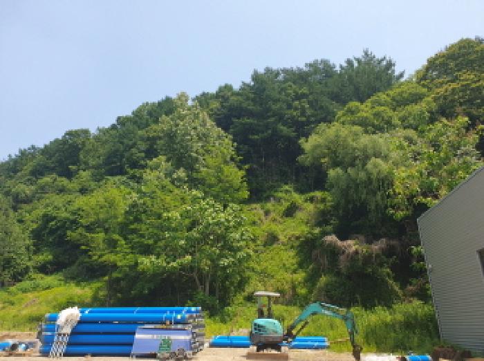 경기 남양주시 화도읍 임야 경매 물건 사진