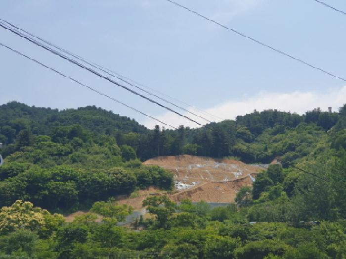 경기 가평군 설악면 임야 경매 물건 사진
