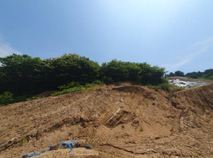 경기 가평군 설악면 임야 경매 물건 사진 5 · 2025타경2108
