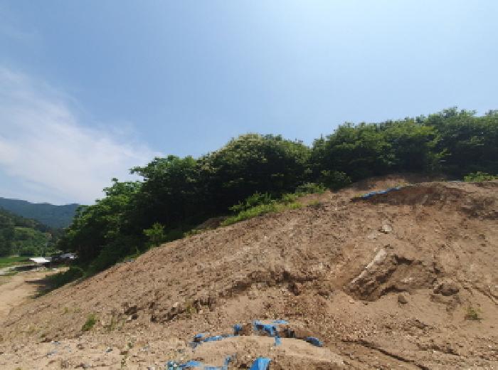 경기 가평군 설악면 임야 경매 물건 사진 6 · 2025타경2108
