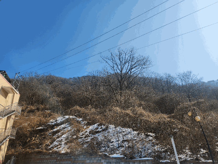 경기도 가평군 청평면 고성리 642-13 임야 경매 물건 사진