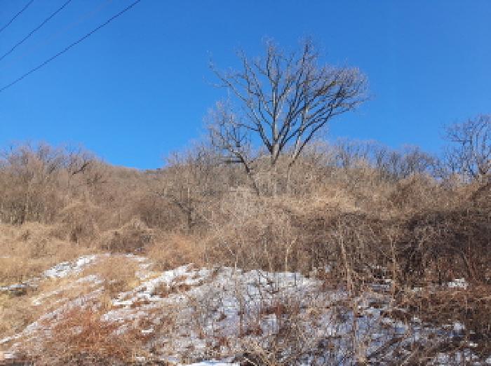 경기 가평군 청평면 임야 경매 물건 사진