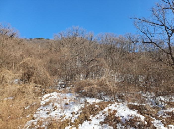 경기 가평군 청평면 임야 경매 물건 사진 4 · 2025타경218