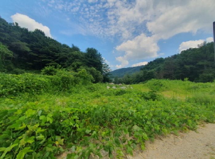 경기 가평군 상면 답 경매 물건 사진 3 · 2025타경2818