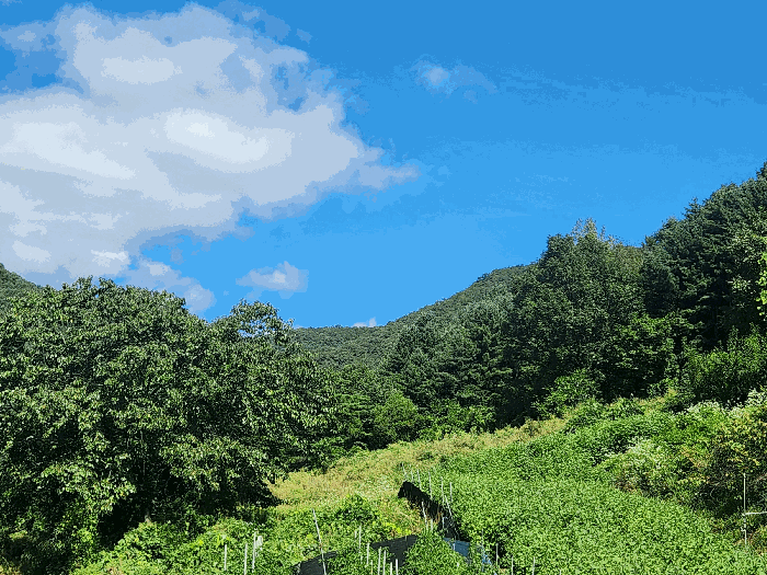 경기도 가평군 북면 제령리 378-1 연립주택 경매 물건 사진