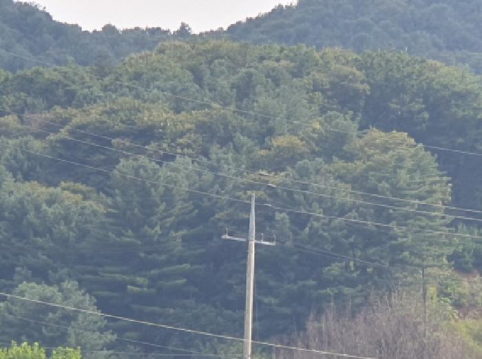 경기 가평군 설악면 임야 경매 물건 사진 5 · 2025타경3583