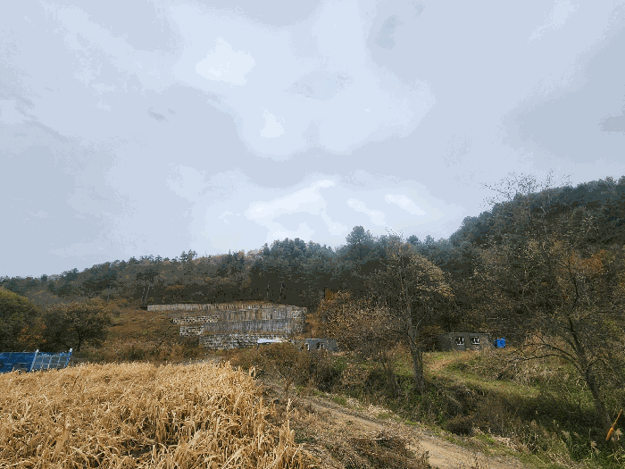 경기도 가평군 조종면 대보리 산248-8 임야 경매 물건 사진