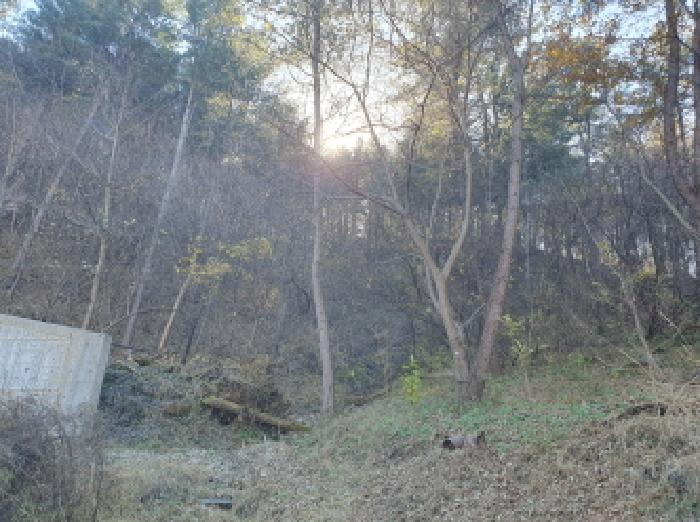 경기 가평군 조종면 임야 경매 물건 사진 3 · 2025타경3934