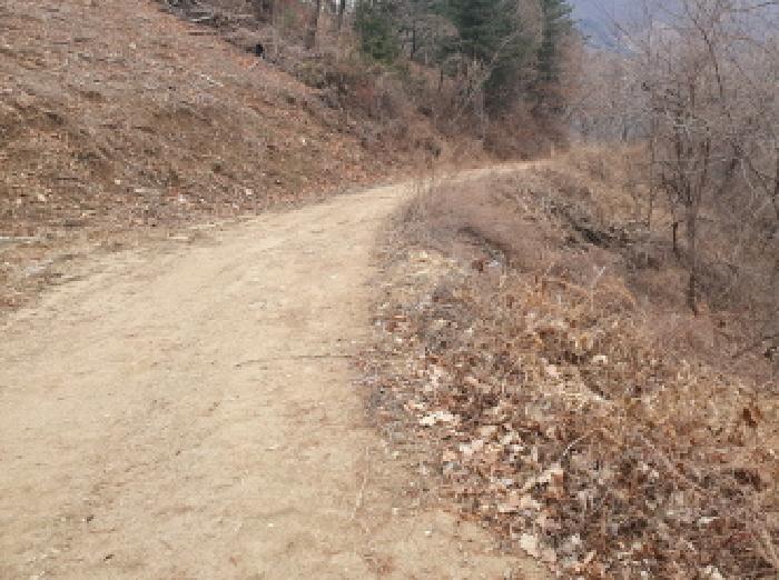 경기 가평군 청평면 임야 경매 물건 사진 6 · 2025타경4463