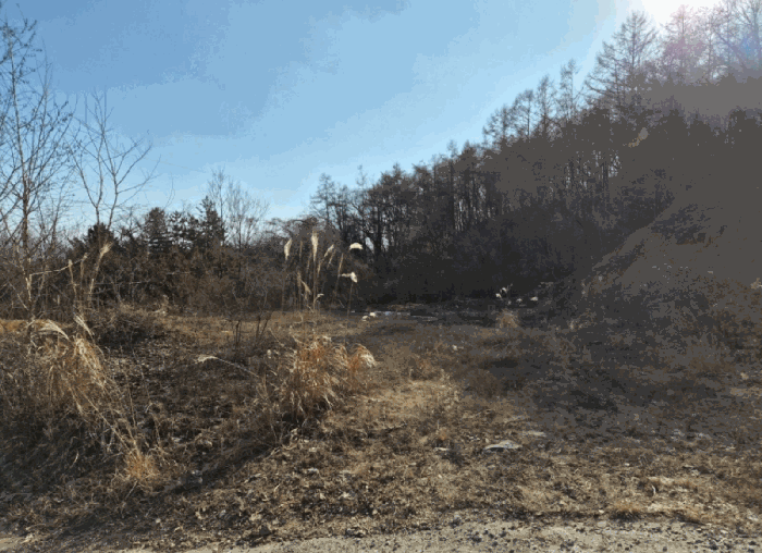 경기도 가평군 설악면 사룡리 665-29 도로 경매 물건 사진