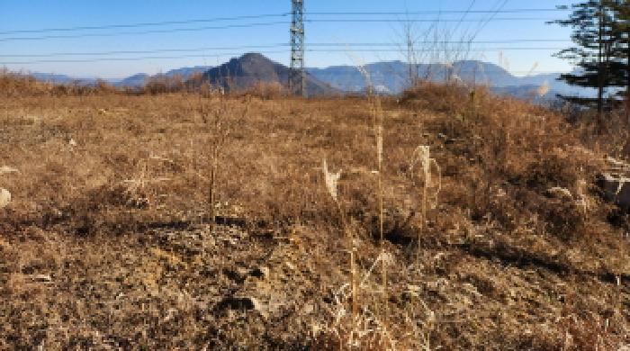 경기 가평군 설악면 도로 경매 물건 사진 4 · 2025타경4821