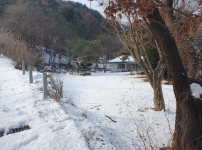 경기 가평군 조종면 단독주택다가구 경매 물건 사진 6 · 2025타경58