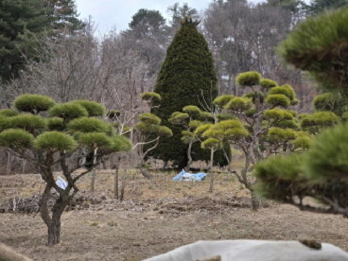 경기 남양주시 진접읍 전 경매 물건 사진