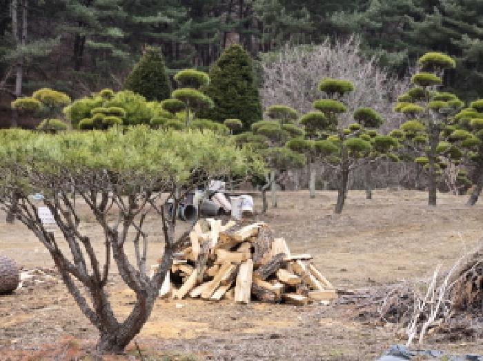 경기 남양주시 진접읍 전 경매 물건 사진 3 · 2025타경71245
