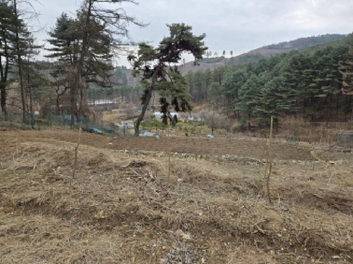경기 남양주시 진접읍 전 경매 물건 사진 4 · 2025타경71245
