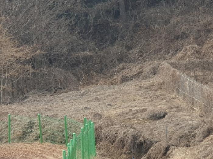 경기 남양주시 수동면 전 경매 물건 사진 3 · 2025타경71283