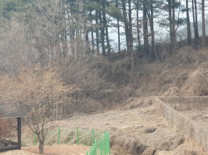 경기 남양주시 수동면 전 경매 물건 사진 4 · 2025타경71283