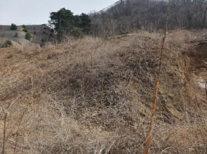 경기 가평군 설악면 임야 경매 물건 사진 3 · 2025타경71320