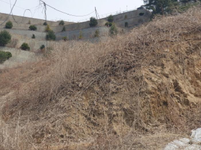 경기 가평군 설악면 임야 경매 물건 사진 4 · 2025타경71320