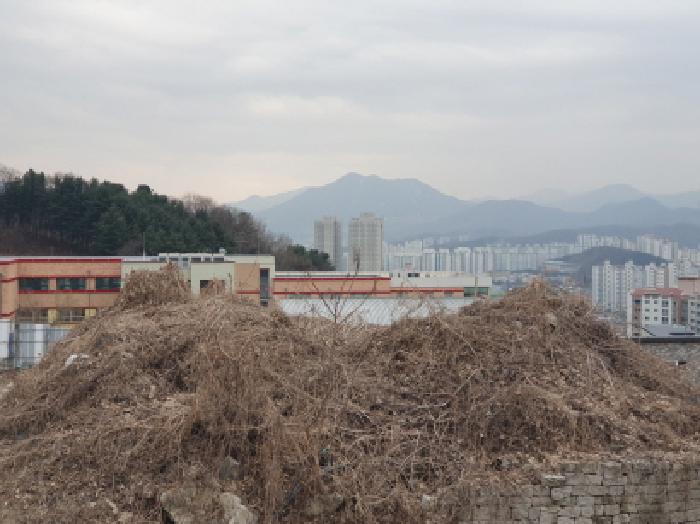 경기 남양주시 화도읍 임야 경매 물건 사진 2 · 2025타경71321