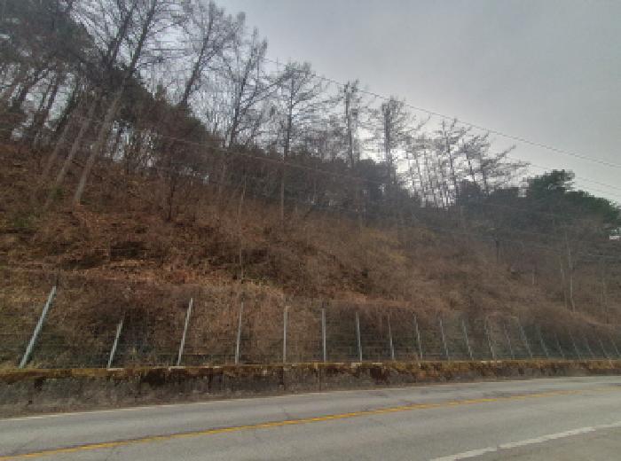 경기 가평군 가평읍 임야 경매 물건 사진 2 · 2025타경71342