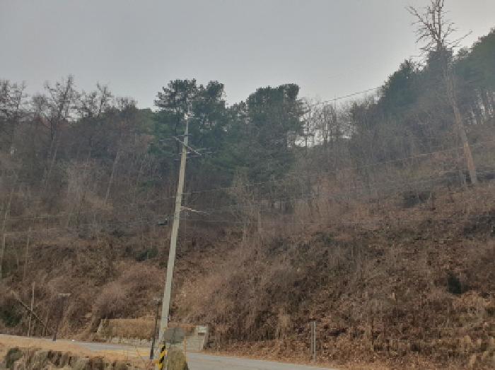 경기 가평군 가평읍 임야 경매 물건 사진 5 · 2025타경71342