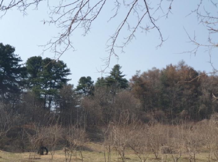 경기 가평군 가평읍 임야 경매 물건 사진 2 · 2025타경71424